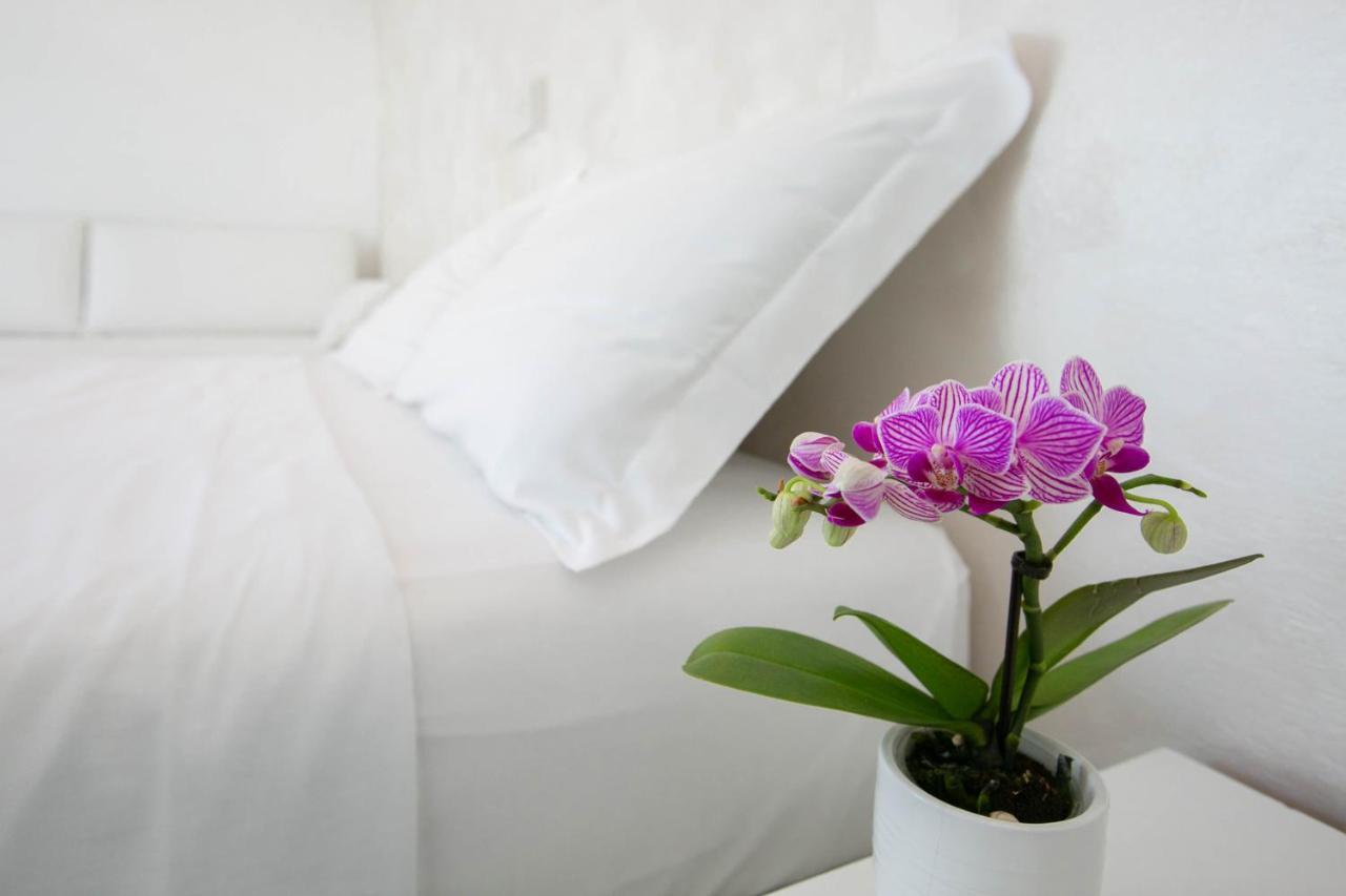 Hotel Nuovo Giardino Rimini Eksteriør bilde